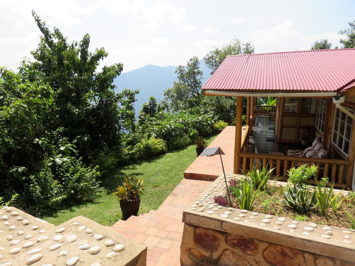 Nkuringo Bwindi Gorilla Lodge מראה חיצוני תמונה
