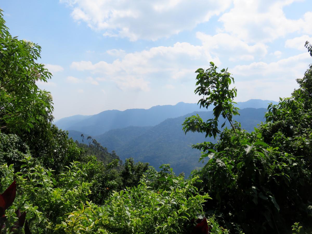 Nkuringo Bwindi Gorilla Lodge מראה חיצוני תמונה
