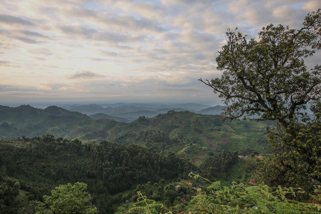 Nkuringo Bwindi Gorilla Lodge מראה חיצוני תמונה